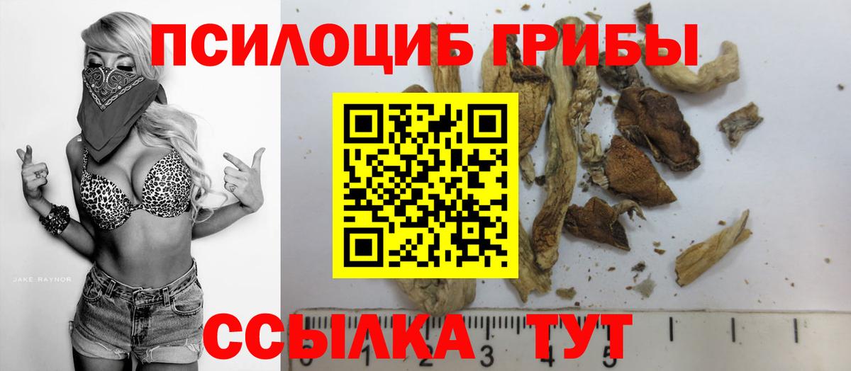 Псилоцибиновые грибы прущие грибы Богородицк
