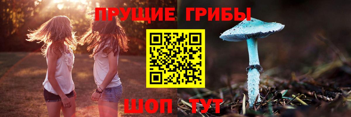 Галлюциногенные грибы ЛСД  Вход с VPN  Богородицк 